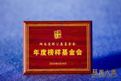 爱眼公益基金会连续四年荣获“年度榜样